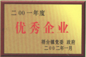 Outstanding Enterprise of 2001