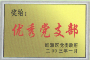 Outstanding Party Branch in 2003