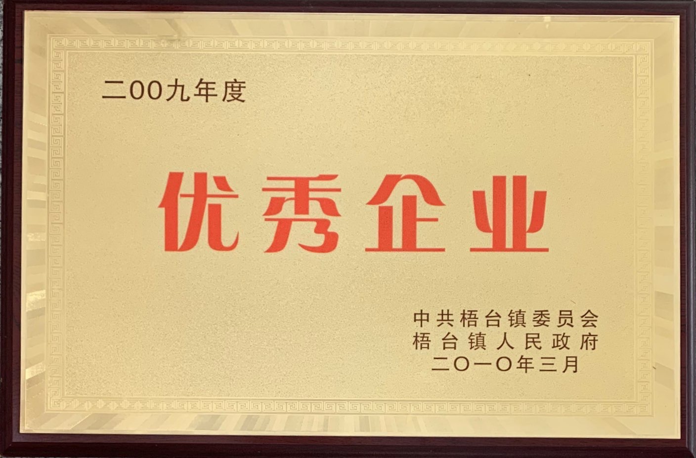 Outstanding Enterprise of 2009