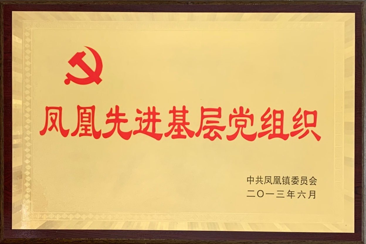 2013年凤凰先进基层党组织