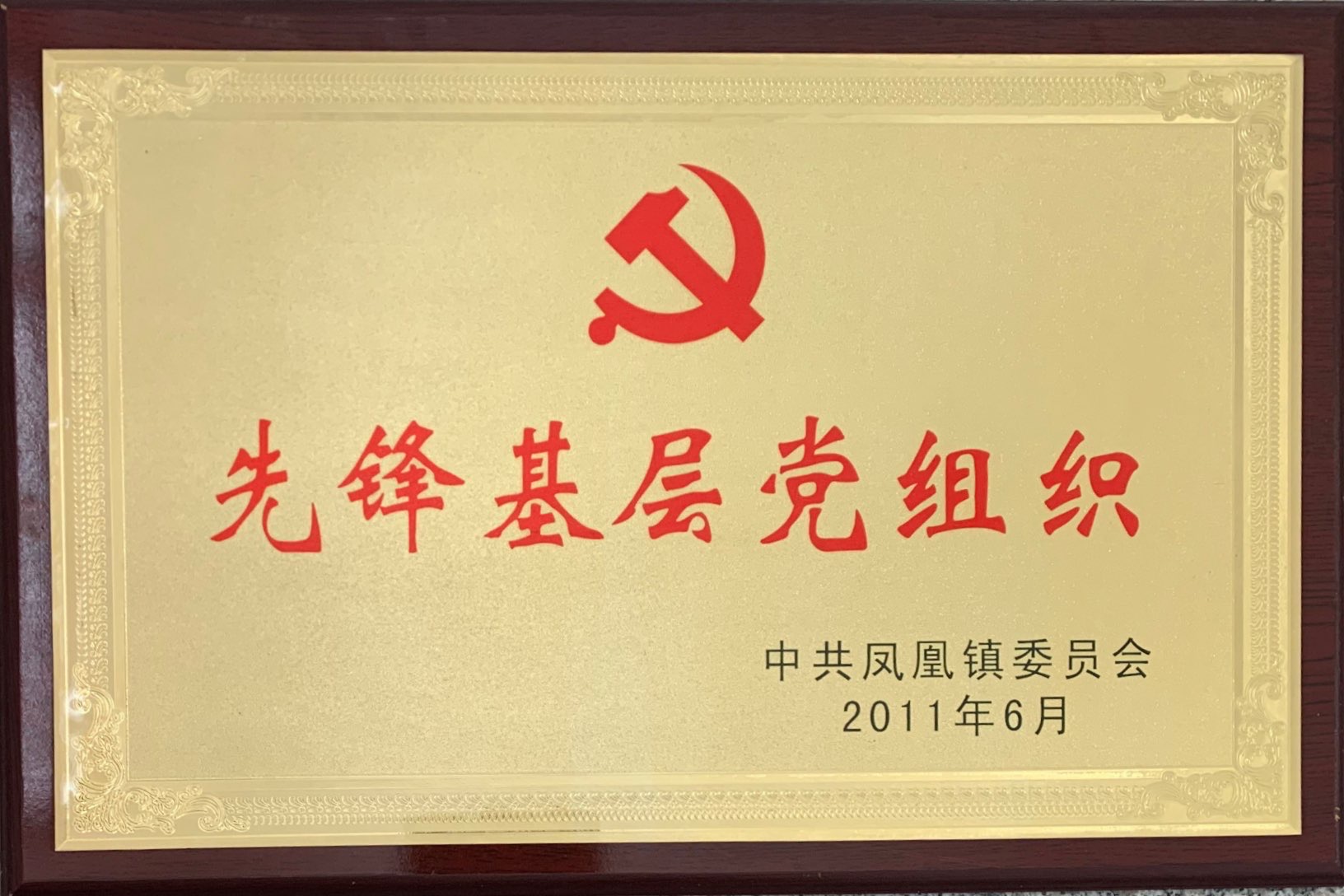 2011年先锋基层党组织