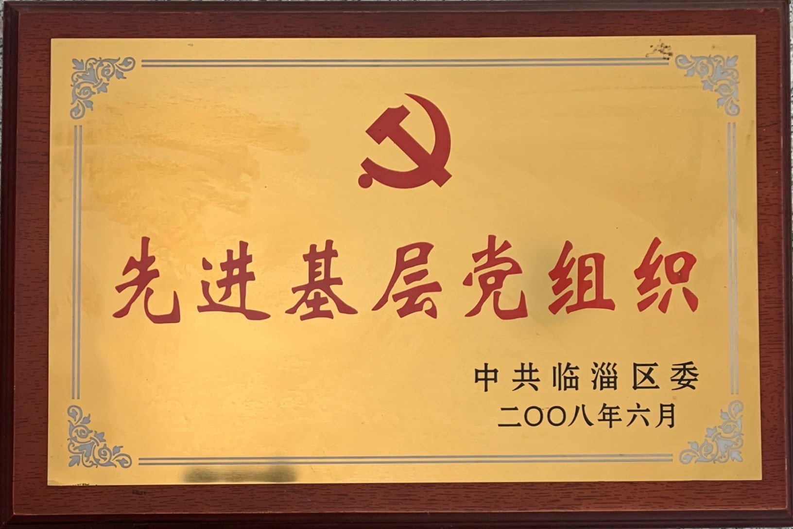 Advanced grassroots party organization in 2008