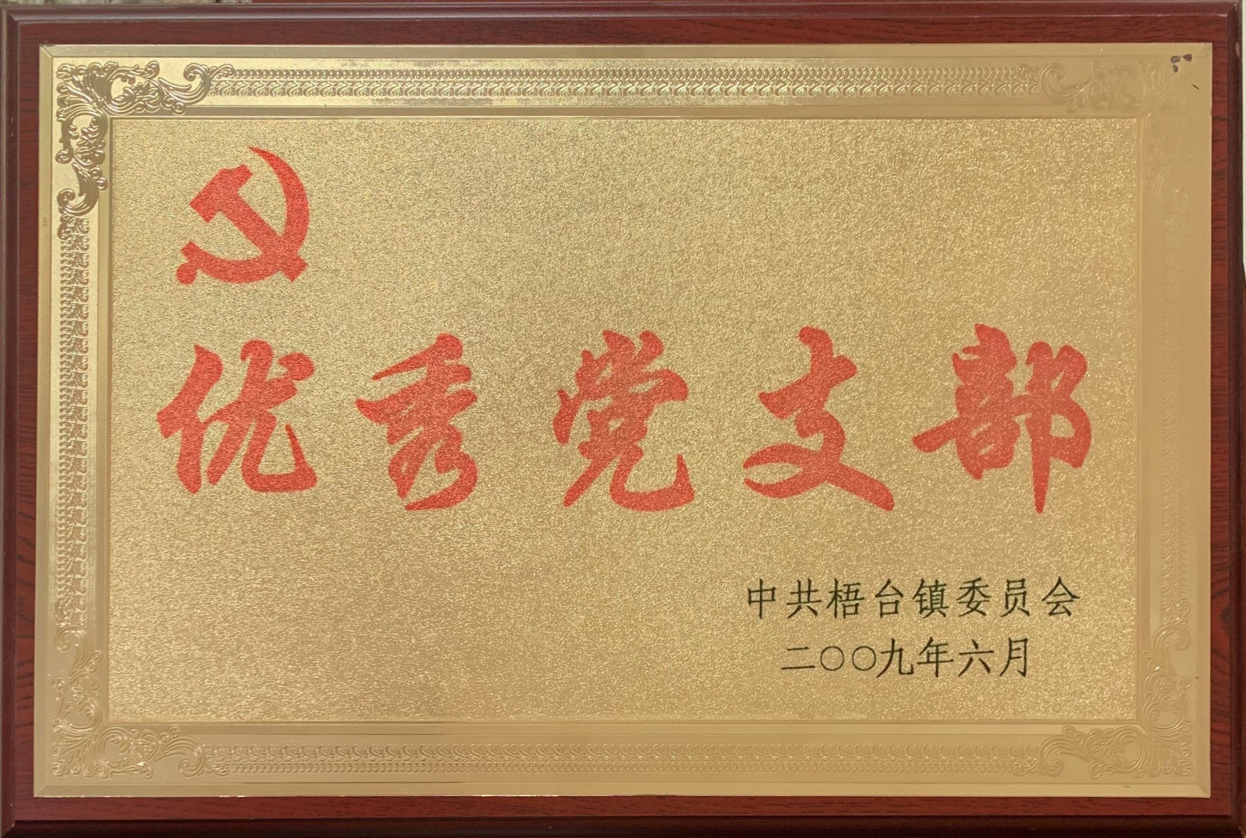 Outstanding Party Branch in 2009